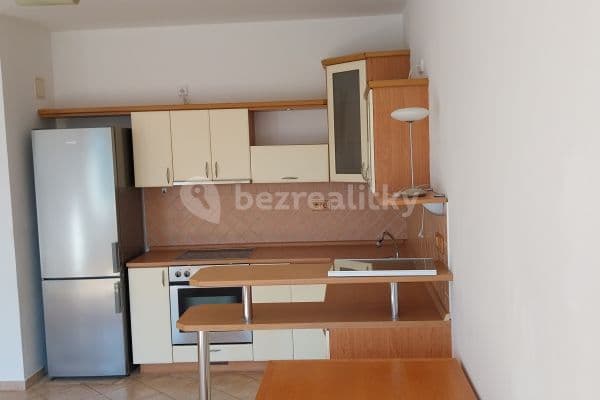 1 bedroom with open-plan kitchen flat to rent, 63 m², B. Smetany, České Budějovice, Jihočeský Region