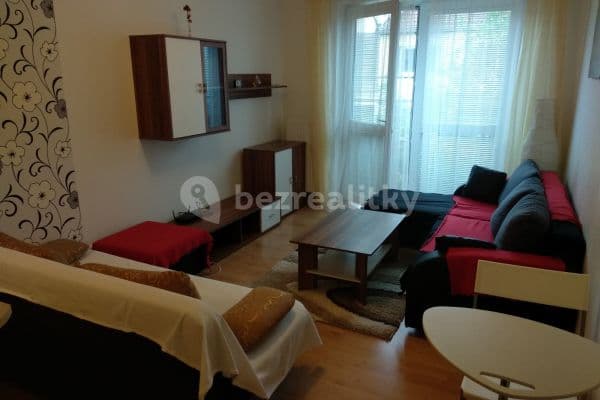 Studio flat to rent, 35 m², U Dráhy, Ostopovice Studio flat to rent, 35 m², U Dráhy, Ostopovice