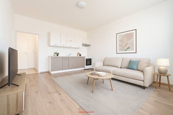 1 bedroom with open-plan kitchen flat to rent, 46 m², Nadační, 1 bedroom with open-plan kitchen flat to rent, 46 m², Nadační,