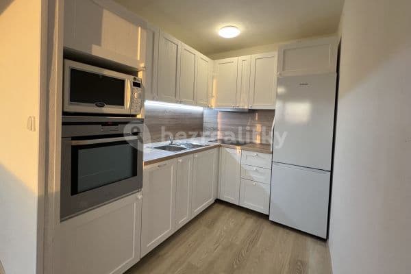 1 bedroom with open-plan kitchen flat to rent, 45 m², Na Chobotě, Praha 1 bedroom with open-plan kitchen flat to rent, 45 m², Na Chobotě, Praha