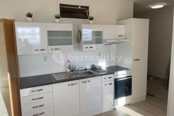1 bedroom with open-plan kitchen flat to rent, 40 m², Albrechtická, Most