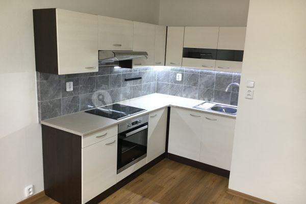 1 bedroom with open-plan kitchen flat to rent, 43 m², Mechová, Jablonec nad Nisou