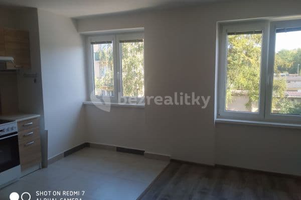 2 bedroom with open-plan kitchen flat to rent, 59 m², Štefánikova, Louny