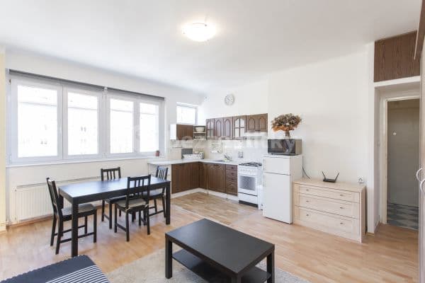 1 bedroom with open-plan kitchen flat to rent, 45 m², Humpolecká, Hlavní město Praha