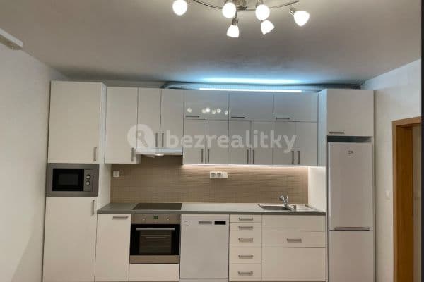 1 bedroom with open-plan kitchen flat to rent, 48 m², Pšeničná, Hostivice