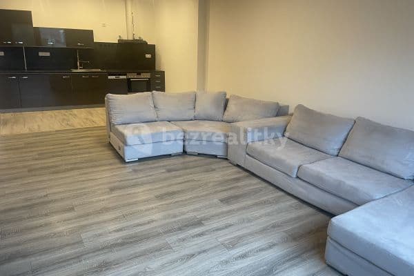 1 bedroom with open-plan kitchen flat to rent, 65 m², Na Vyhlídce, Plzeň