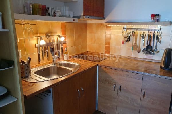 1 bedroom with open-plan kitchen flat to rent, 45 m², Böhmova, Praha