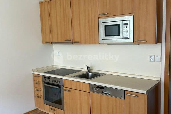 2 bedroom with open-plan kitchen flat to rent, 75 m², Merhoutova, Praha 2 bedroom with open-plan kitchen flat to rent, 75 m², Merhoutova, Praha