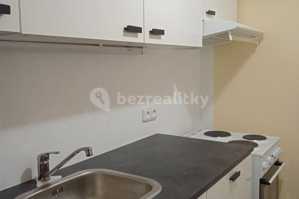 1 bedroom with open-plan kitchen flat to rent, 42 m², Milerova, Praha