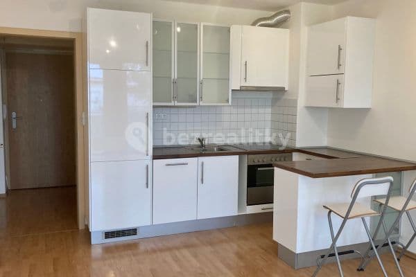 1 bedroom with open-plan kitchen flat to rent, 58 m², Krumlovská, Praha