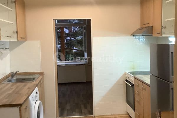 1 bedroom with open-plan kitchen flat to rent, 46 m², Nuselská, Praha