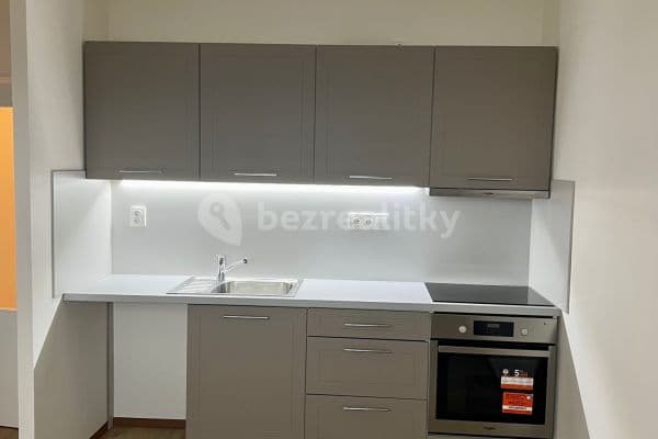 1 bedroom with open-plan kitchen flat to rent, 46 m², Dobiášova, Liberec