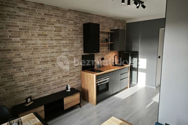 1 bedroom with open-plan kitchen flat to rent, 33 m², Turnovská, Praha 1 bedroom with open-plan kitchen flat to rent, 33 m², Turnovská, Praha