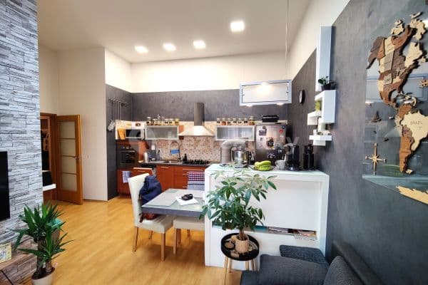 1 bedroom with open-plan kitchen flat to rent, 54 m², U Garáží, Prague, Prague
