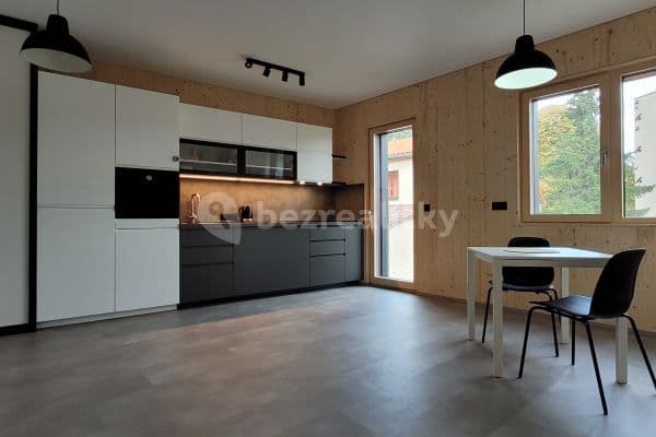 1 bedroom with open-plan kitchen flat to rent, 44 m², Hornokrčská, Praha 1 bedroom with open-plan kitchen flat to rent, 44 m², Hornokrčská, Praha