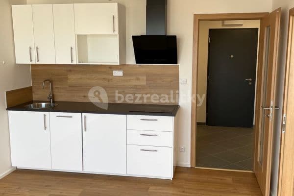 1 bedroom with open-plan kitchen flat to rent, 57 m², Gollové, Praha