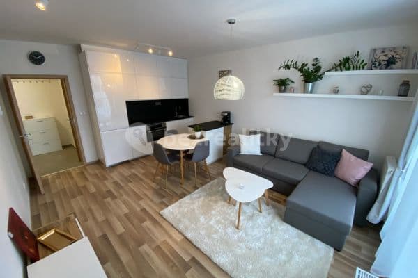 1 bedroom with open-plan kitchen flat to rent, 49 m², Karla Guta, Praha 1 bedroom with open-plan kitchen flat to rent, 49 m², Karla Guta, Praha