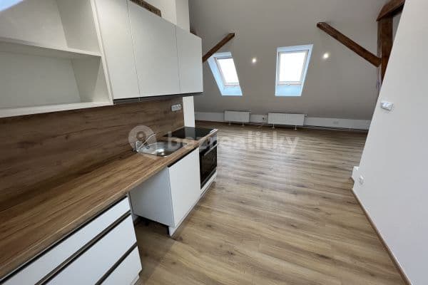 1 bedroom with open-plan kitchen flat to rent, 75 m², Koudelov, Horní Bučice