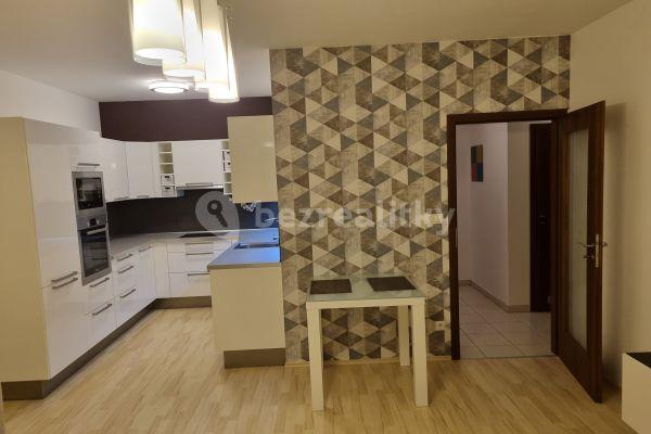 1 bedroom with open-plan kitchen flat to rent, 53 m², Jurkovičova, Praha