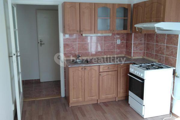 1 bedroom with open-plan kitchen flat to rent, 51 m², M. J. Lermontova, Praha