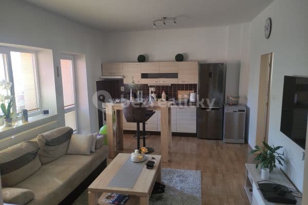 1 bedroom with open-plan kitchen flat to rent, 60 m², Palackého, Ostrava 1 bedroom with open-plan kitchen flat to rent, 60 m², Palackého, Ostrava