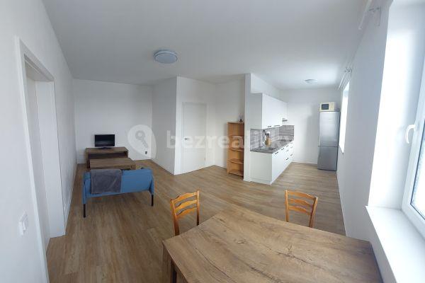 1 bedroom with open-plan kitchen flat to rent, 53 m², Plaská, Plzeň