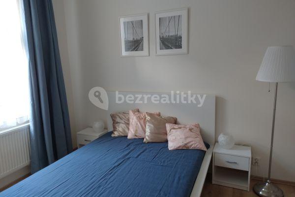 1 bedroom with open-plan kitchen flat to rent, 32 m², Hřímalého, Plzeň, Plzeňský Region