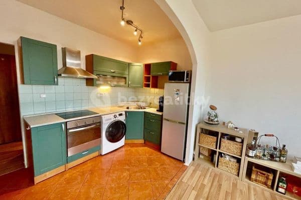 1 bedroom with open-plan kitchen flat for sale, 48 m², Plzeňská, 