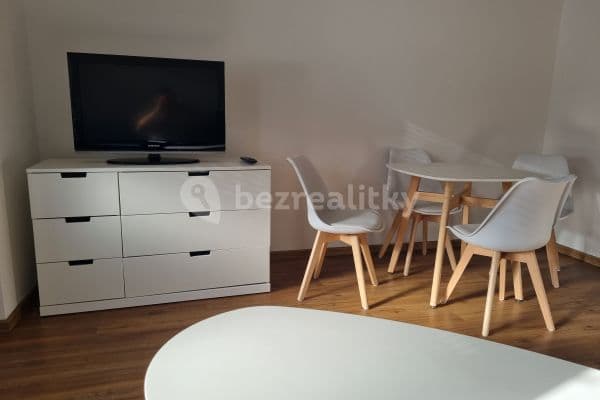 1 bedroom with open-plan kitchen flat to rent, 47 m², Antonínská, Praha 1 bedroom with open-plan kitchen flat to rent, 47 m², Antonínská, Praha