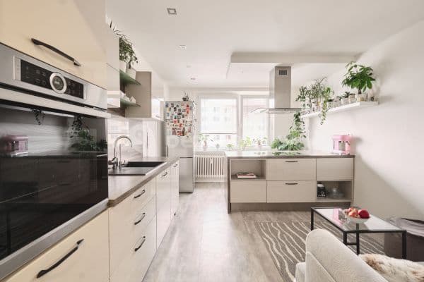 2 bedroom with open-plan kitchen flat for sale, 65 m², Teyschlova, Brno