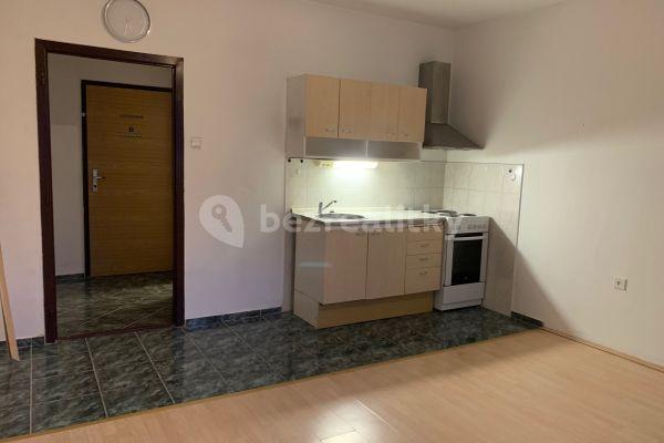 1 bedroom with open-plan kitchen flat to rent, 45 m², Haškova, Liberec