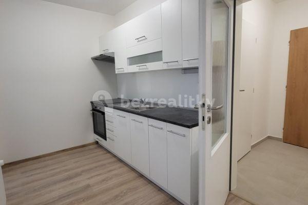 1 bedroom with open-plan kitchen flat to rent, 37 m², Dukelská, 