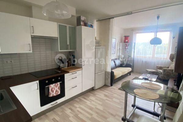 1 bedroom with open-plan kitchen flat to rent, 55 m², U Pivovaru, Benešov