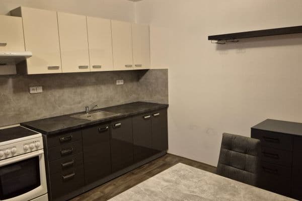 1 bedroom with open-plan kitchen flat to rent, 44 m², Spodní, Brno 1 bedroom with open-plan kitchen flat to rent, 44 m², Spodní, Brno