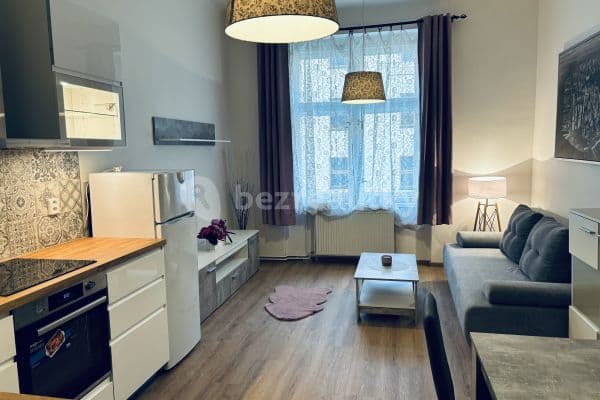 1 bedroom with open-plan kitchen flat to rent, 48 m², Sudoměřská, Praha