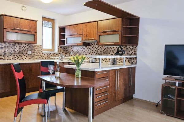 1 bedroom with open-plan kitchen flat for sale, 76 m², Vídeňská, Brno