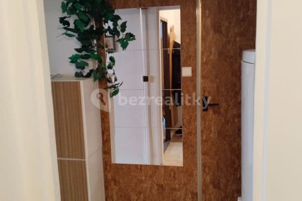 1 bedroom with open-plan kitchen flat to rent, 47 m², Durychova, Hradec Králové 1 bedroom with open-plan kitchen flat to rent, 47 m², Durychova, Hradec Králové