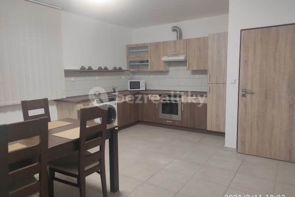2 bedroom with open-plan kitchen flat to rent, 70 m², Luže 2 bedroom with open-plan kitchen flat to rent, 70 m², Luže