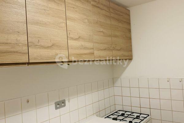 1 bedroom with open-plan kitchen flat to rent, 42 m², Chalupkova, Praha