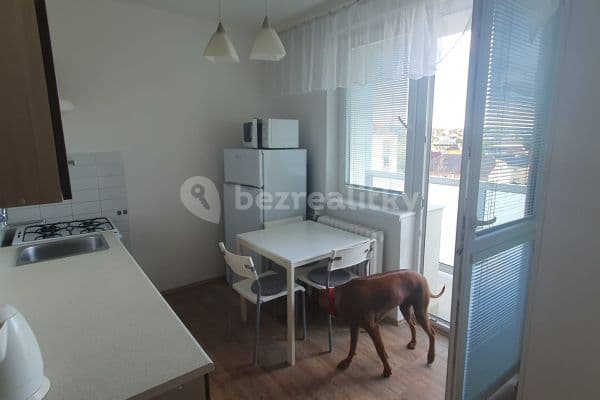 1 bedroom flat to rent, 37 m², Na Drážce, Pardubice 1 bedroom flat to rent, 37 m², Na Drážce, Pardubice