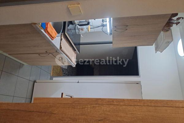 1 bedroom with open-plan kitchen flat to rent, 33 m², Vrchlického, Hlavní město Praha