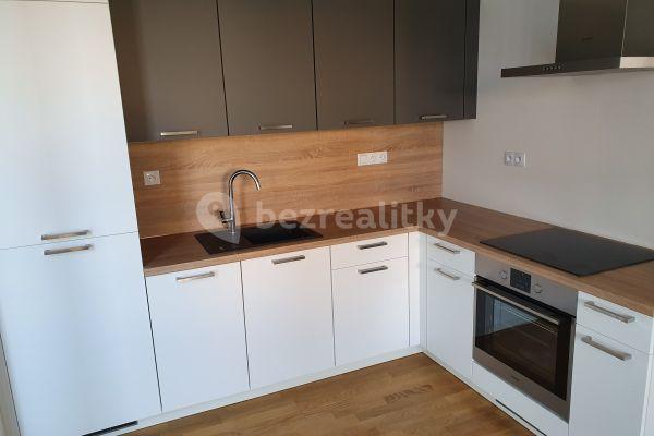 1 bedroom with open-plan kitchen flat to rent, 56 m², Dělnická, Praha