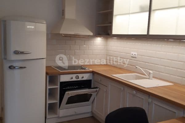 1 bedroom with open-plan kitchen flat to rent, 45 m², Lyčkovo náměstí, Hlavní město Praha