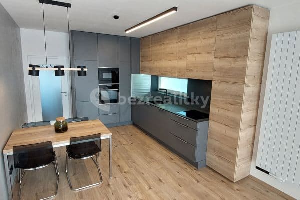 1 bedroom with open-plan kitchen flat to rent, 60 m², Premonstrátů, Chýně