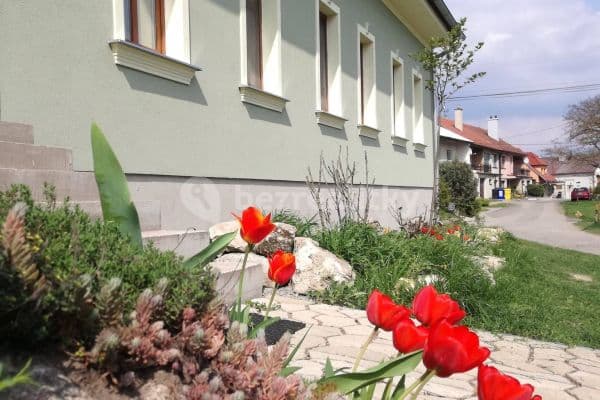 Studio flat to rent, 30 m², Sedlec Studio flat to rent, 30 m², Sedlec