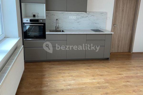 1 bedroom with open-plan kitchen flat to rent, 60 m², Pavlovická, Olomouc