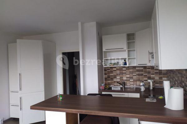 1 bedroom with open-plan kitchen flat to rent, 45 m², Leopoldova, Praha