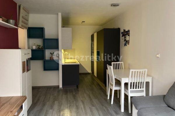 1 bedroom with open-plan kitchen flat to rent, 43 m², Bronzová, Praha