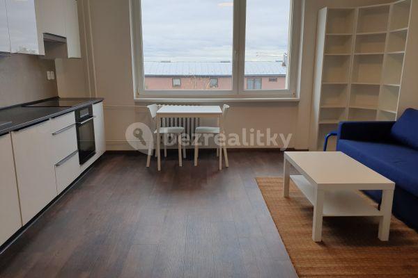 1 bedroom with open-plan kitchen flat to rent, 40 m², Cihlářská, Praha