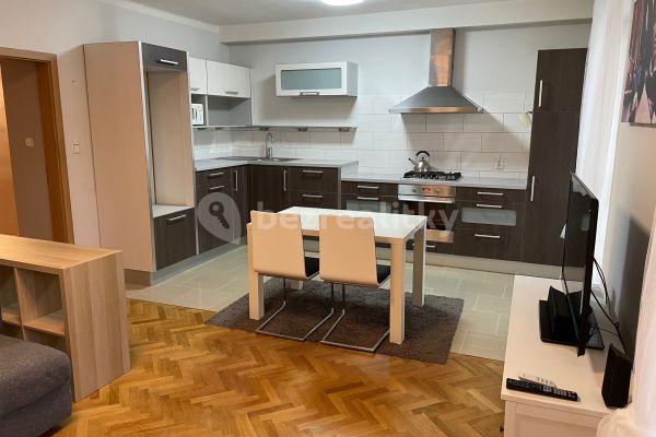 1 bedroom with open-plan kitchen flat for sale, 56 m², Budovatelská, Ostrava